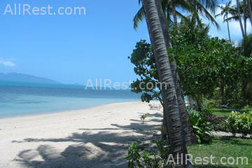 Coconut Grove 11